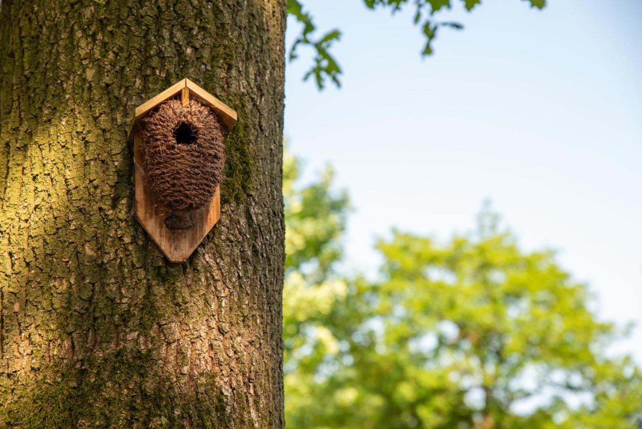 Nature Hideout At Veluwe Nature Park Путен Екстериор снимка